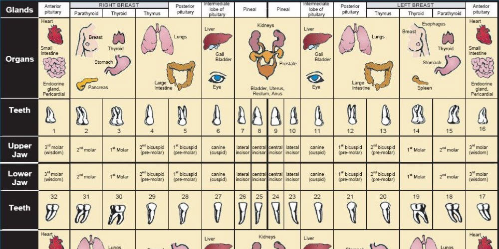 biological dentistry